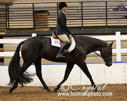 2014 American Royal is a Wrap With 4,300+ Entries! Check Out Complete Results and Photos Here