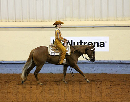 Opportunity to Hold International Horsemanship Camps With AQHA | Equine ...