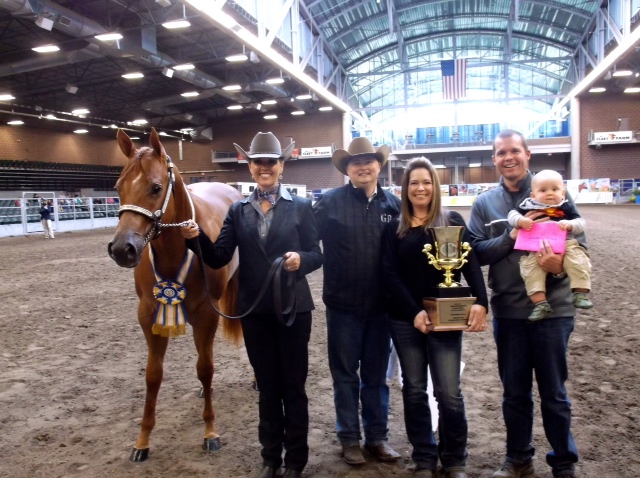 Latest Results and Photos From 2014 Breeders Halter Futurity/National Halter Championship
