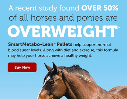 New SmartMetabo-Lean™ Pellets, Because It’s Hard to Fit a Horse on Your Treadmill
