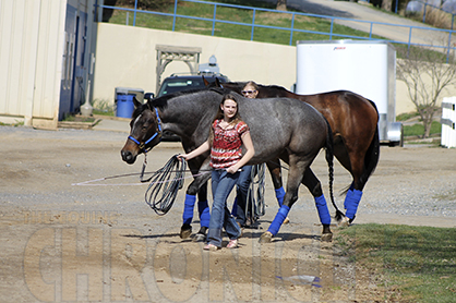 Is Your Horse Suffering From “Monday Morning Sickness”?