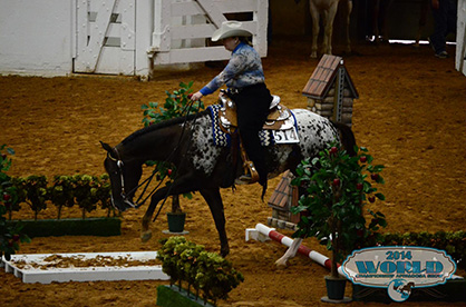 Dates Announced For 2016 World Championship Appaloosa Shows