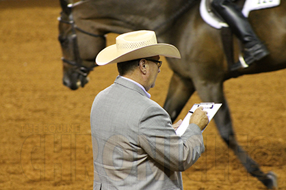 Getting a Jumpstart in Horse Judging