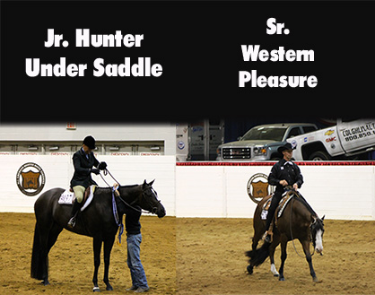 Heidi Piper and Doodle Jump Win Jr. HUS; Kenny Lakins and One Lazy Investment Win Sr. WP at QH Congress