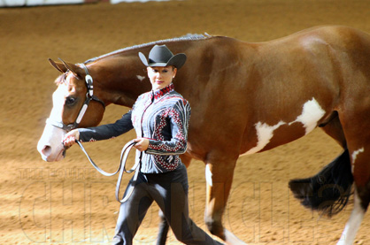 Day 1-3 Photos at 2014 APHA World Show