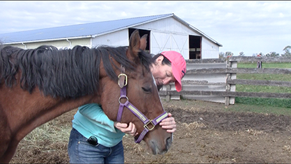 Bingham Herd of 75 Abandoned Quarter Horses Find New Homes
