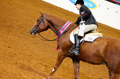 Hull, Wildes, Hughes, Lyon, Wise, and Schexnayder Win Morning Hunter Classes at 2014 APHA World Show