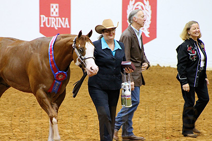 Morning Halter Wins at 2014 APHA World Show Include Robinett, Miller, Boothe, and Griffin