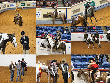 #ThrowbackThursday- Top 10 Favorite Moments From 2013 APHA/AQHA World Shows