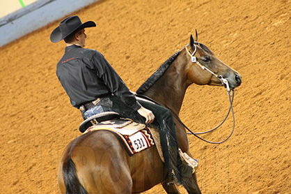 Who’s Planning on Taking Advantage of AQHA’s New Level 1 Walk-Trot Classes in 2016?