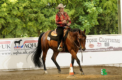 American Quarter Horses Riding For the First Time in London New Year’s Day Parade