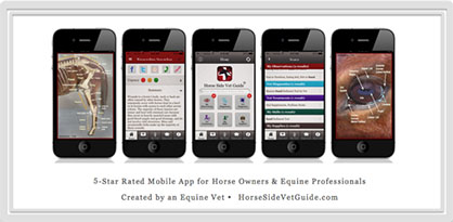 Horse Side Vet Guide