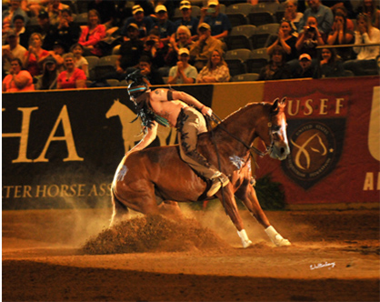 Special Insider Access Tickets Available For World Championship Freestyle Reining Competition, Meet Dan James