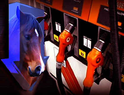 Will the Decrease in Gas Prices be a Boost to the Horse Industry in 2015?