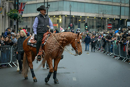 American Quarter Horses Well-Represented on International Scale During New Year’s Day Parade