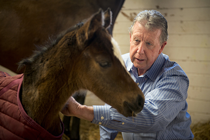 UC Davis Ranked #1 Veterinary School in United States