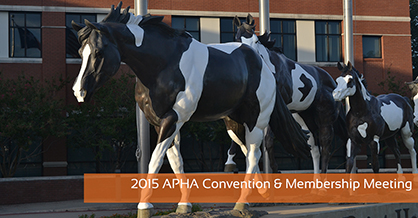 Committee Agendas Now Online For 2015 APHA Convention