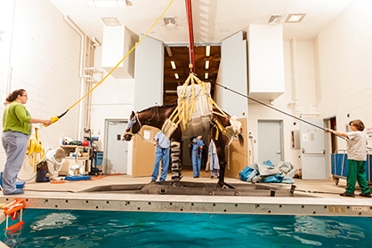 Unique Pool Recovery System Helps Horses Wake Up From Anesthesia