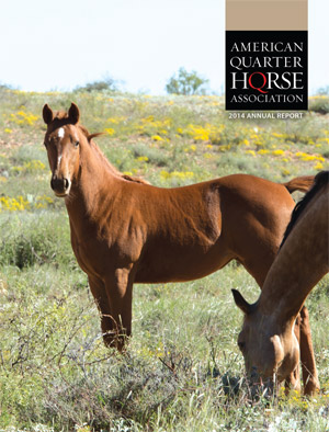 AQHA Releases 2014 Annual Report With Stats, Registration Numbers, and More