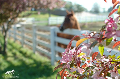 Kentucky Horse Park Kicks Off 2015 Season For Tourists and Equine Competitors