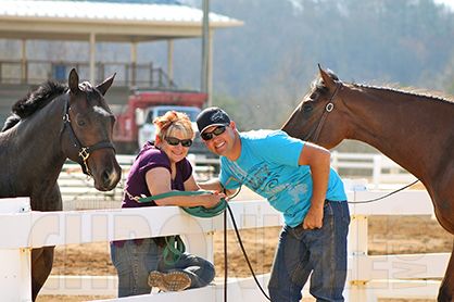 Gearing Up For 2015 Virginia Quarter Horse Classic! Check Out Just Released Showbill and Judges’ List