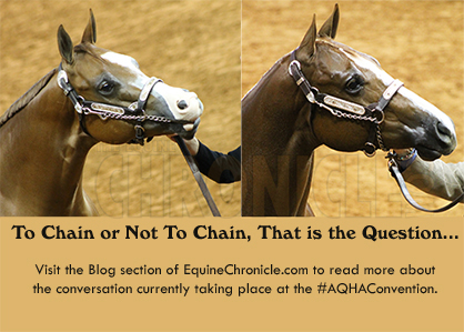 Behind-the-Scenes at 2015 AQHA Convention With Scott Trahan