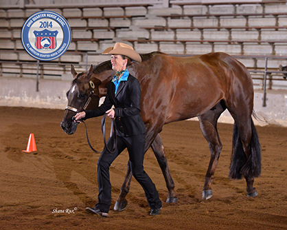 Schedule Released For 2015 All American Quarter Horse Congress, New Classes Added