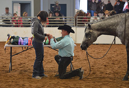 Horse Show Proposal: A Ring in the Ring!