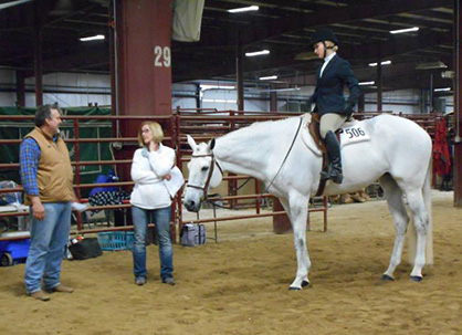 IQHYA Cloverdale Show Concludes With 7,200 Entries