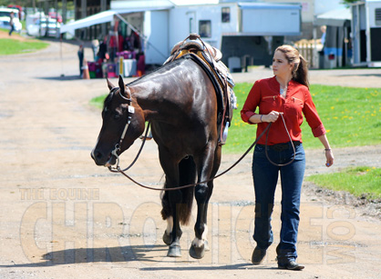 Day 2 Around the Ring Photos at 2015 Virginia QH Classic
