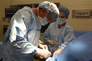 Renowned Orthopedic Surgeon to Discuss “Fixing Broken Horses”