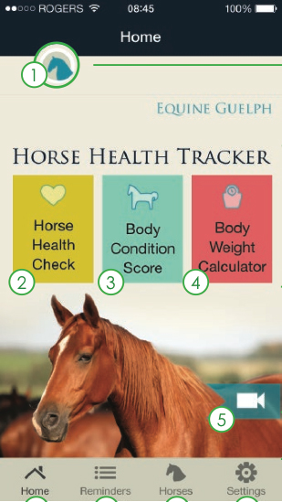 New App Allows You to Track Horse Health in Real-Time