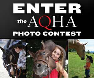 Have You Entered the AQHA Photo Contest Yet?