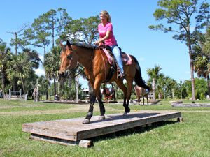 AQHA Trail Challenges Are the Perfect Way to Test Partnership Between Horse and Rider
