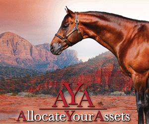 AQHA Professional Horsemen’s Auction Raises $10,900