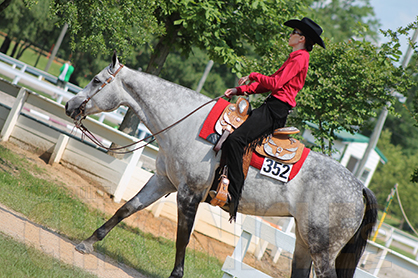 New Research Shows Calming Effect of Magnesium on Horses