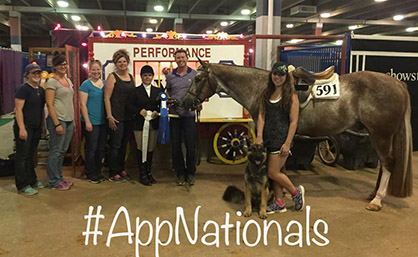 Around the Ring Photos and Results From 68th Appaloosa Nationals