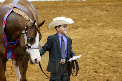 $65,000 in Scholarship Money Presented During AjPHA Youth Halter Classes