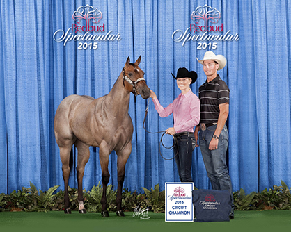 2015 Jerry Wells Memorial Halter Futurity Wrap Up & Complete Results