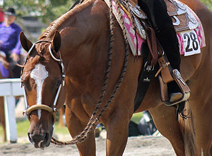 2015 Little Futurity Concludes Crowning Big Winners in Green, Reams, Chown, Roberts, Puthoff, Willis and Many More