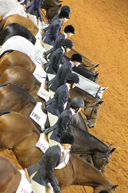 2015 AQHA World Show Will Offer Level 2 Classes