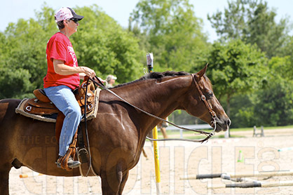 HOT, HOT, HOT! Are You Protecting Your Horse on the Show Circuit This Summer?