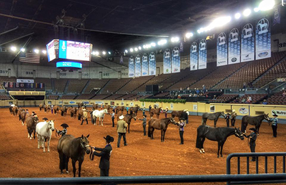 It’s Finally Here! Classes Underway at 2015 AQHYA World Show