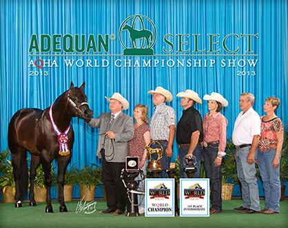 World Champions, Tack, and More Selling in Pro Horse Services July Online Auction