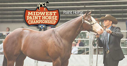 Paint Horse Championship Comes to the Midwest