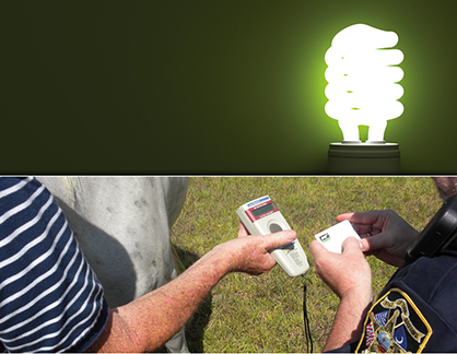 The Inside Scoop on Microchipping Your Horse