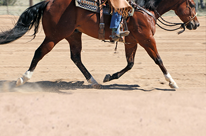 Ranch Horse Riding Fundamentals – Part 2
