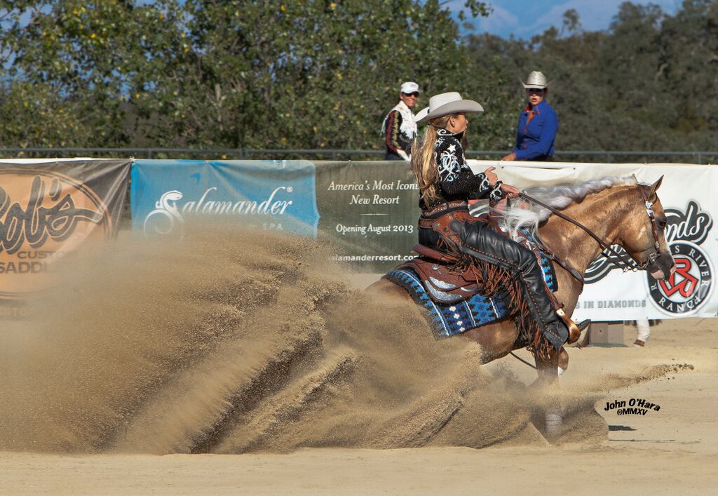 Slidin’ By The Sea at 2015 Reining By The Bay