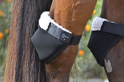 New Equine Product- The Hock Shield