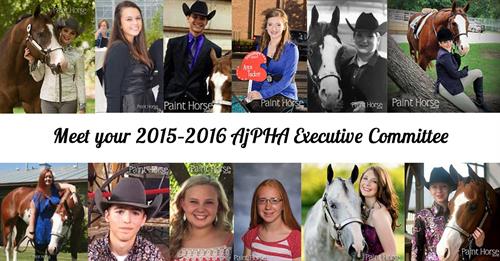 Congratulations 2015-2016 AjPHA Executive Committee!